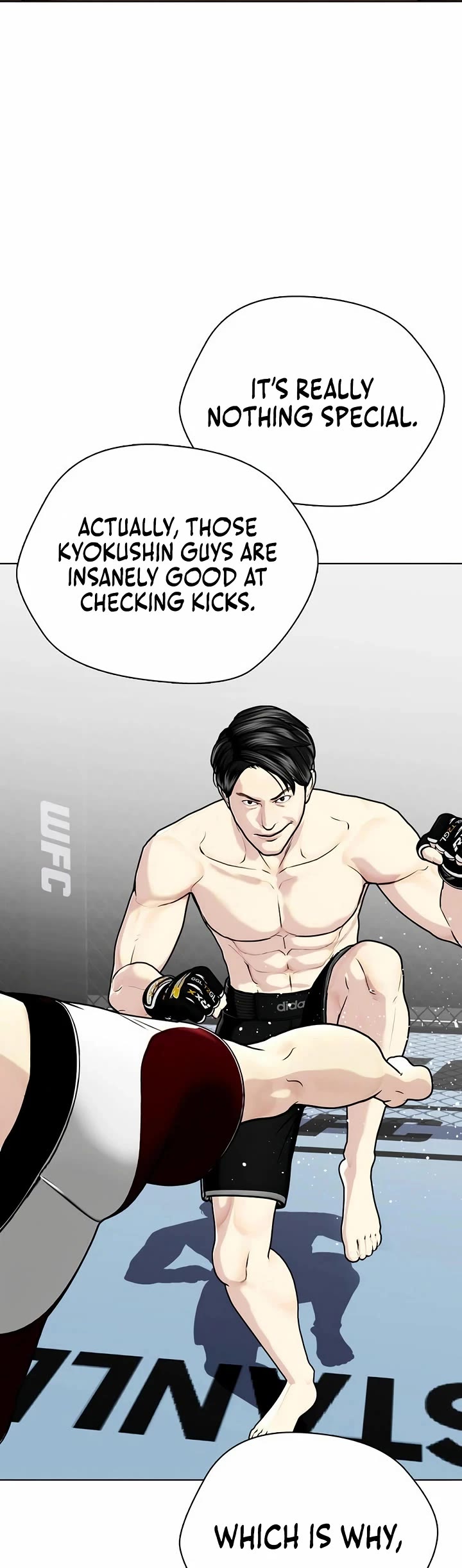 The Outcast Is Too Good at Martial Arts Chapter 114 page 10 - Chapter 114
