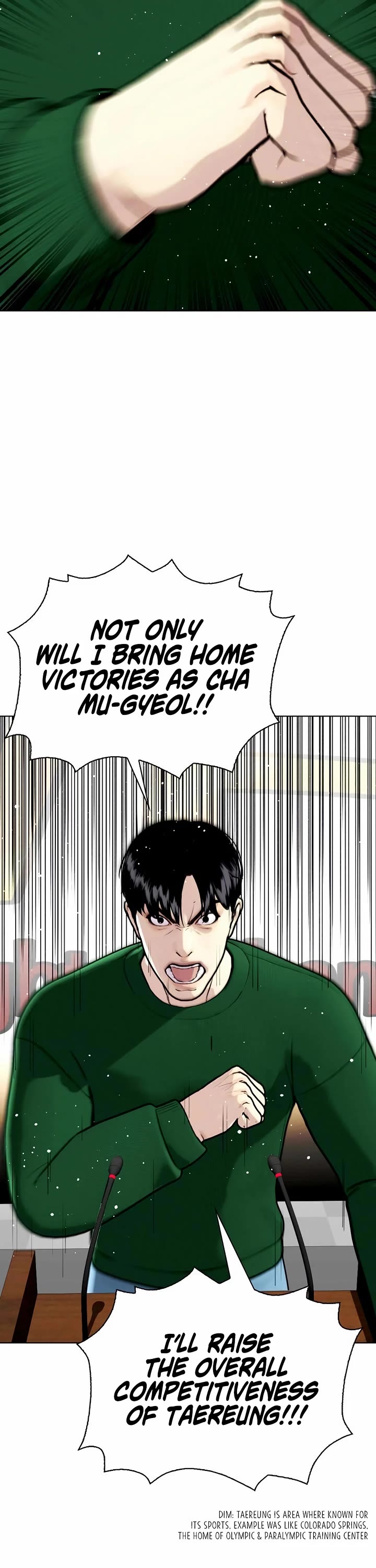 The Outcast Is Too Good at Martial Arts Chapter 117 page 17 - Chapter 117