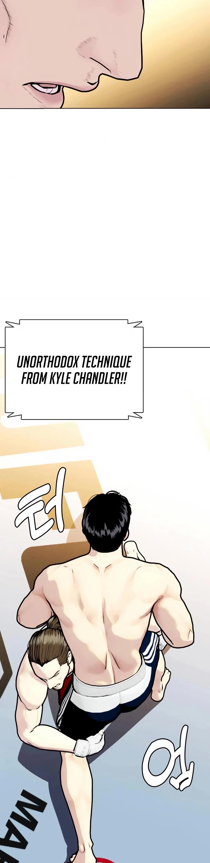 The Outcast Is Too Good at Martial Arts Chapter 132 page 19 - Chapter 132