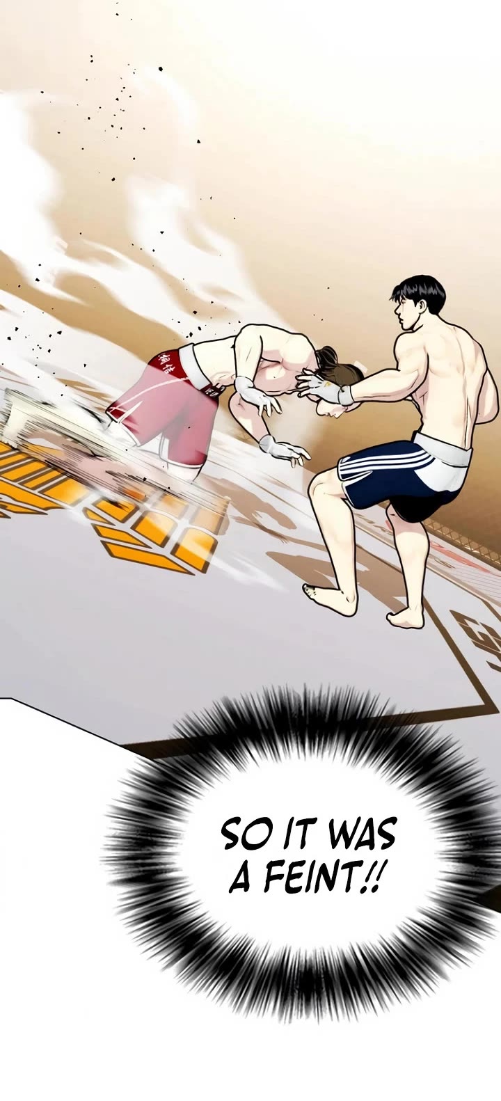 The Outcast Is Too Good at Martial Arts Chapter 133 page 74 - Chapter 133