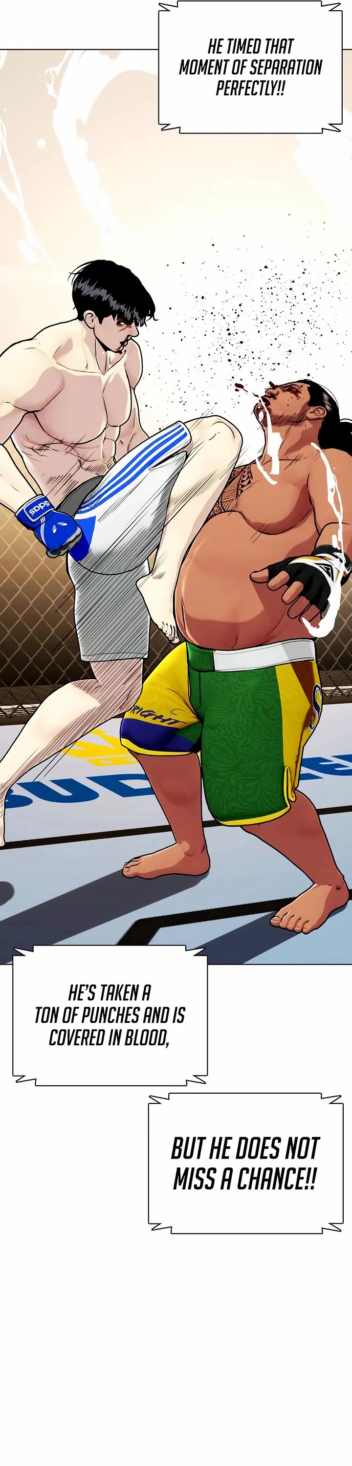 The Outcast Is Too Good at Martial Arts Chapter 144 page 40 - Chapter 144