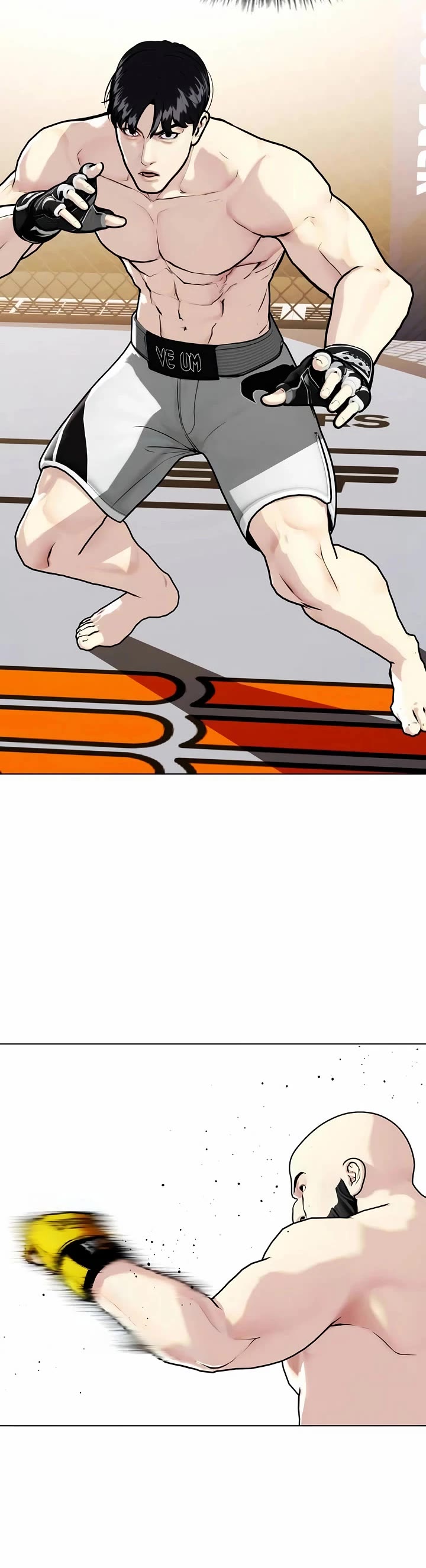 The Outcast Is Too Good at Martial Arts Chapter 147 page 27 - Chapter 147
