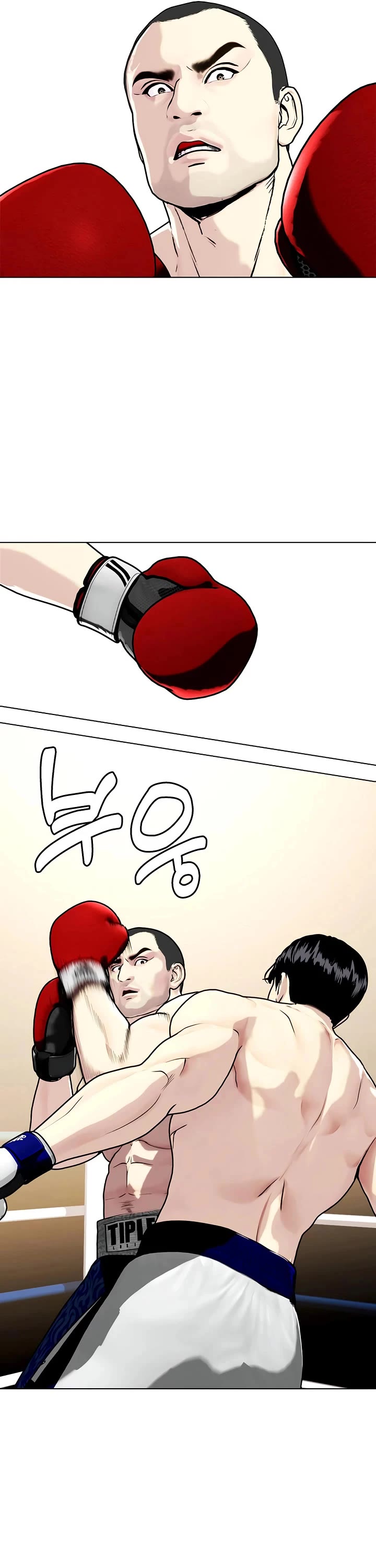 The Outcast Is Too Good at Martial Arts Chapter 158 page 37 - Chapter 158