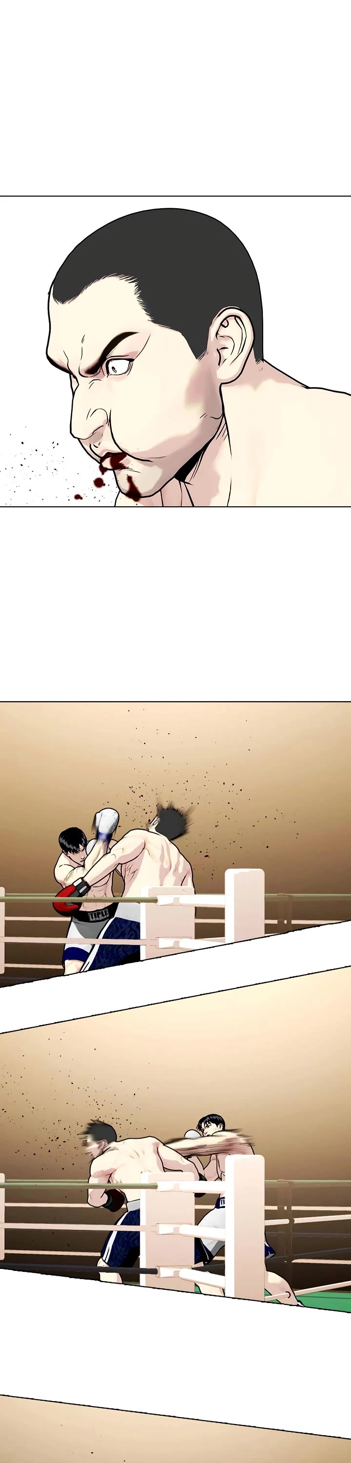 The Outcast Is Too Good at Martial Arts Chapter 158 page 43 - Chapter 158