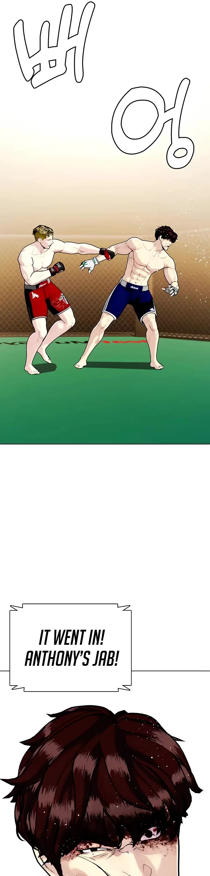 The Outcast Is Too Good at Martial Arts Chapter 169 page 20 - Chapter 169