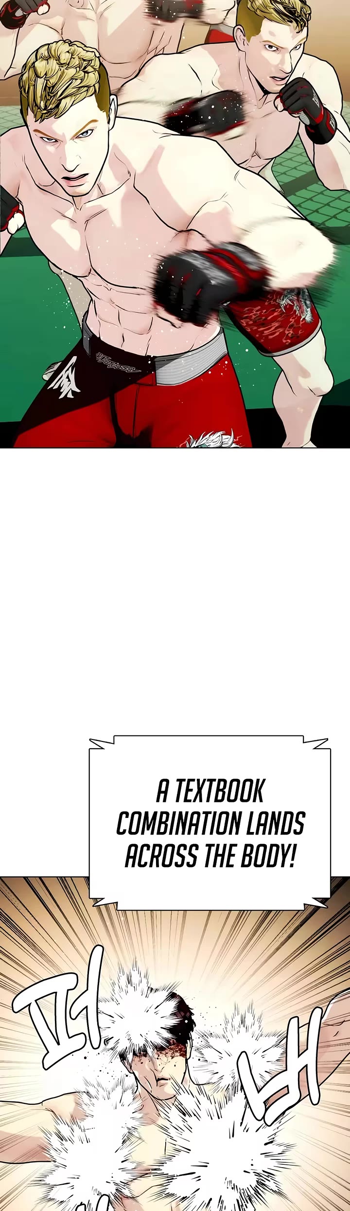 The Outcast Is Too Good at Martial Arts Chapter 169 page 30 - Chapter 169