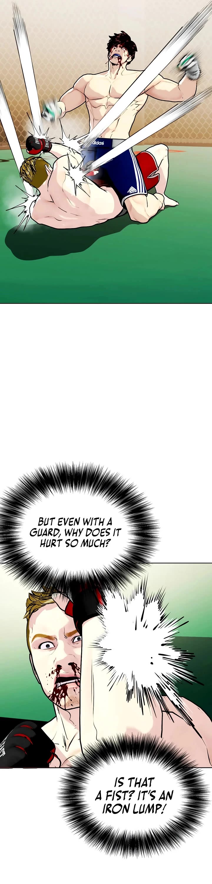 The Outcast Is Too Good at Martial Arts Chapter 170 page 28 - Chapter 170
