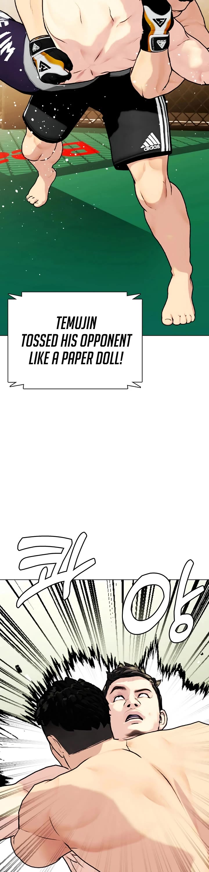 The Outcast Is Too Good at Martial Arts Chapter 170 page 74 - Chapter 170