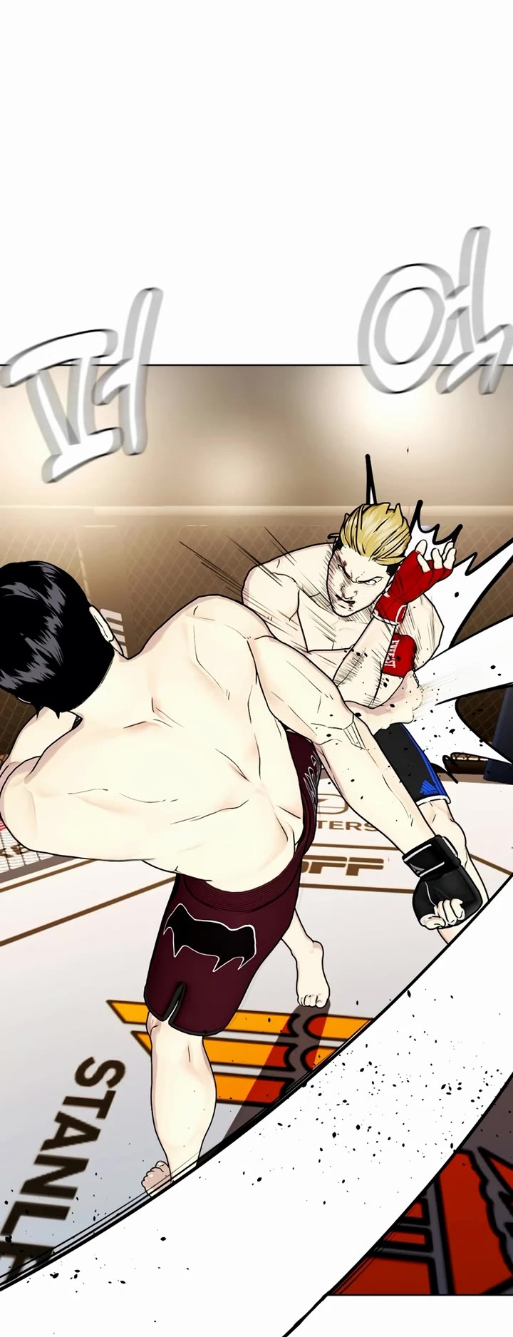 The Outcast Is Too Good at Martial Arts Chapter 45 page 15 - Chapter 45