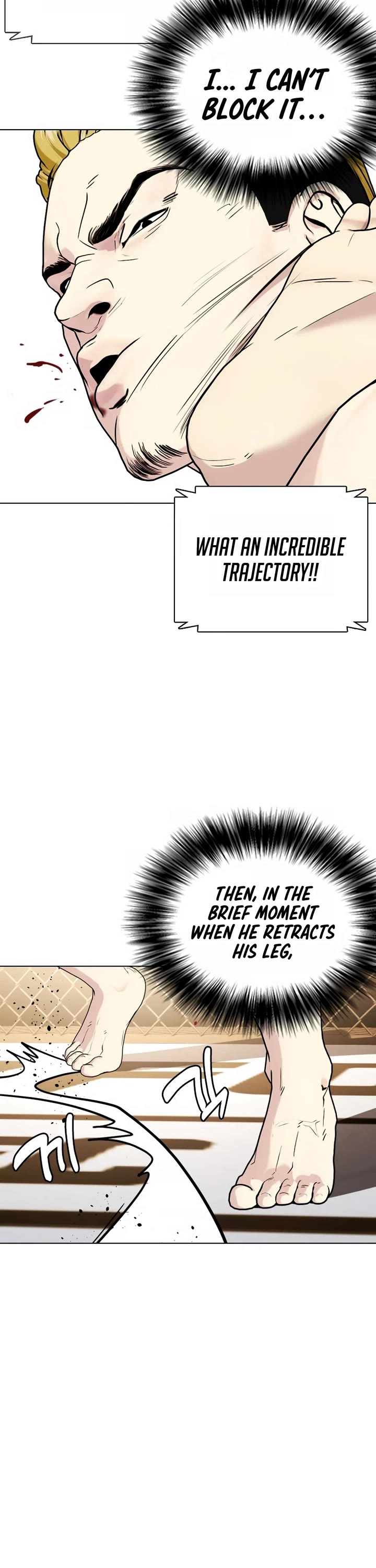 The Outcast Is Too Good at Martial Arts Chapter 45 page 45 - Chapter 45