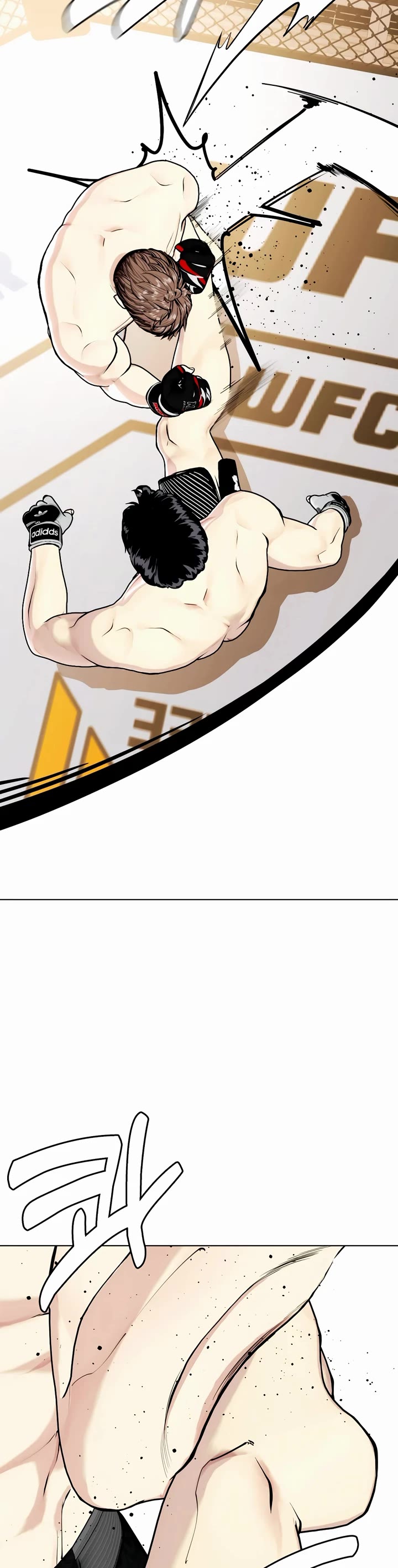 The Outcast Is Too Good at Martial Arts Chapter 55 page 39 - Chapter 55