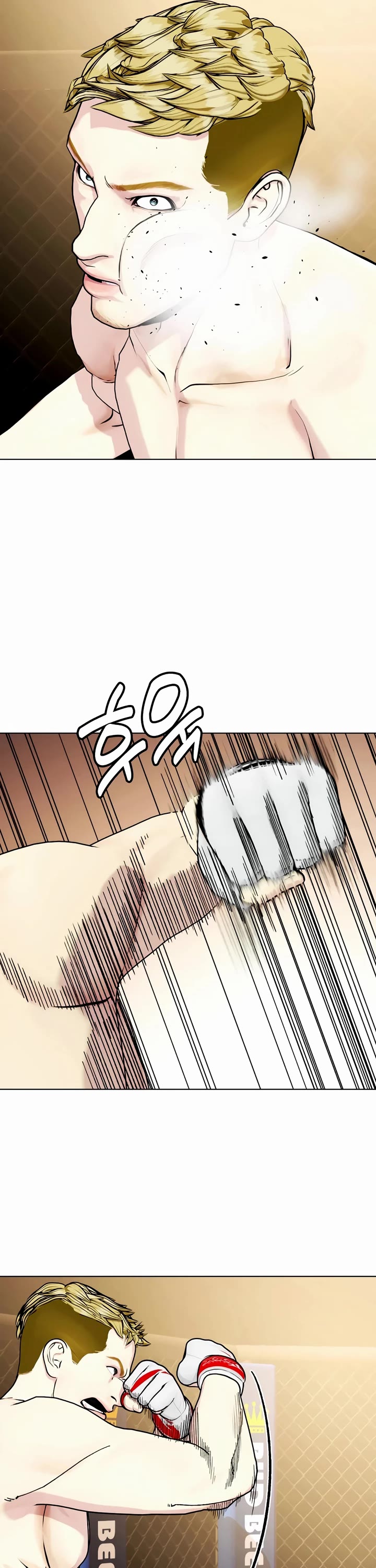 The Outcast Is Too Good at Martial Arts Chapter 81 page 25 - Chapter 81