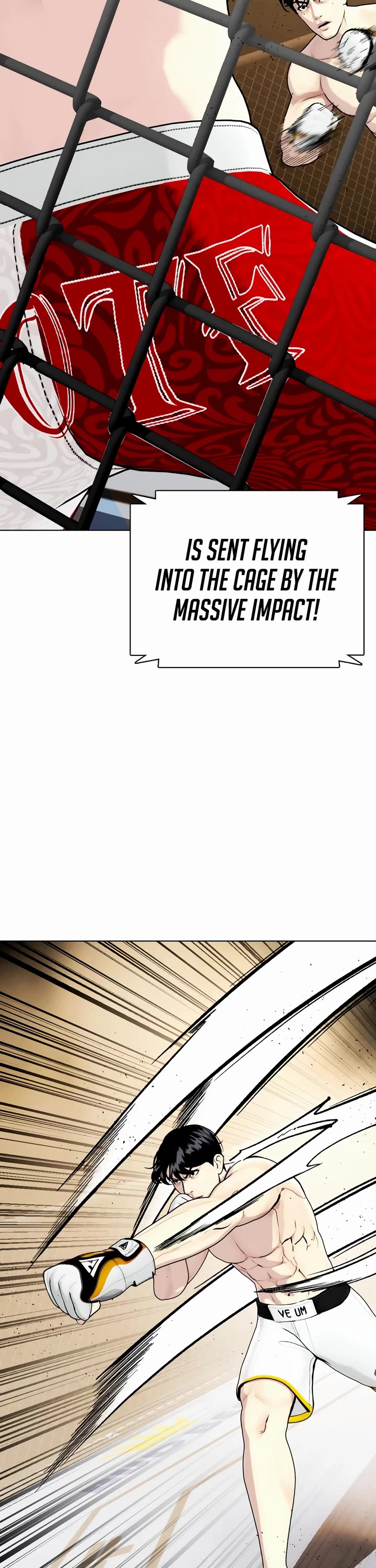 The Outcast Is Too Good at Martial Arts Chapter 81 page 29 - Chapter 81