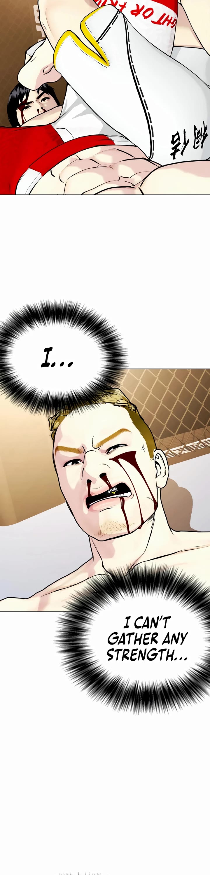 The Outcast Is Too Good at Martial Arts Chapter 83 page 17 - Chapter 83