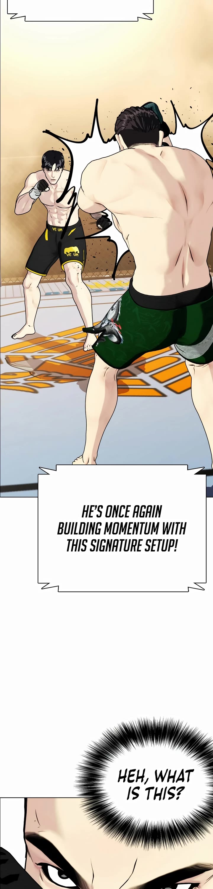 The Outcast Is Too Good at Martial Arts Chapter 87 page 15 - Chapter 87