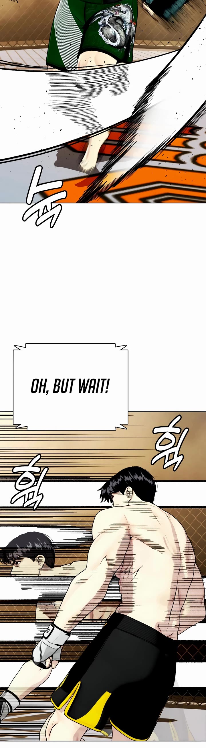 The Outcast Is Too Good at Martial Arts Chapter 87 page 29 - Chapter 87