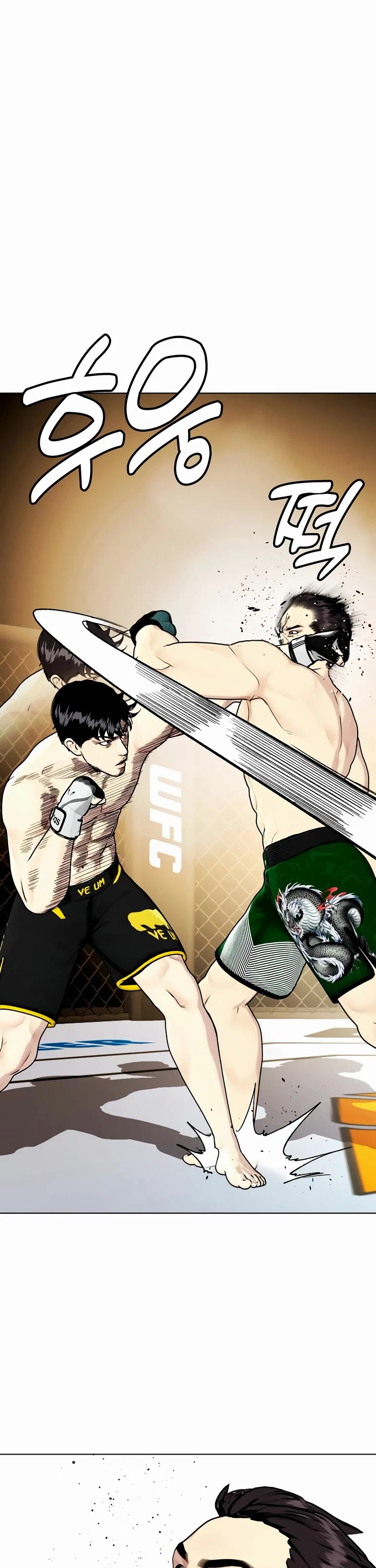 The Outcast Is Too Good at Martial Arts Chapter 88 page 12 - Chapter 88