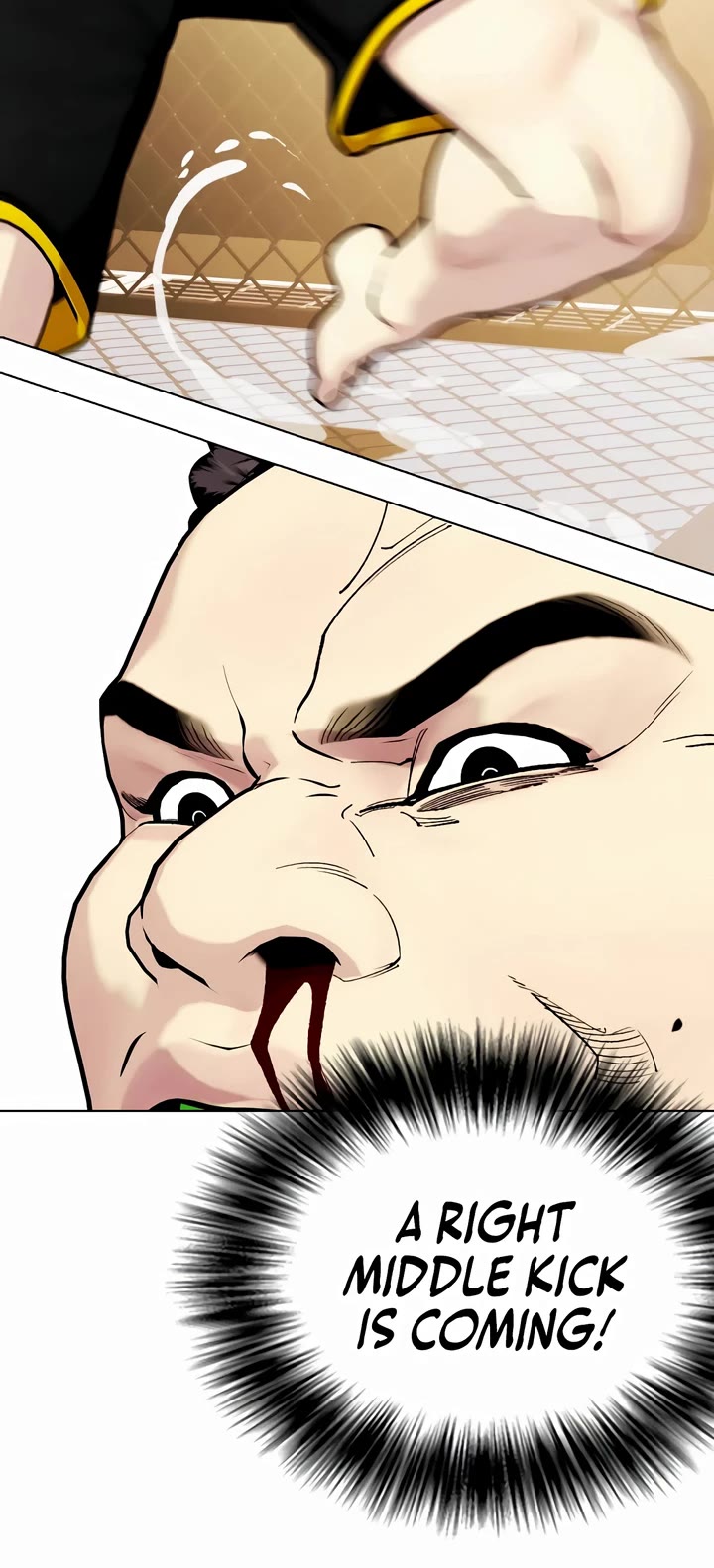 The Outcast Is Too Good at Martial Arts Chapter 88 page 22 - Chapter 88