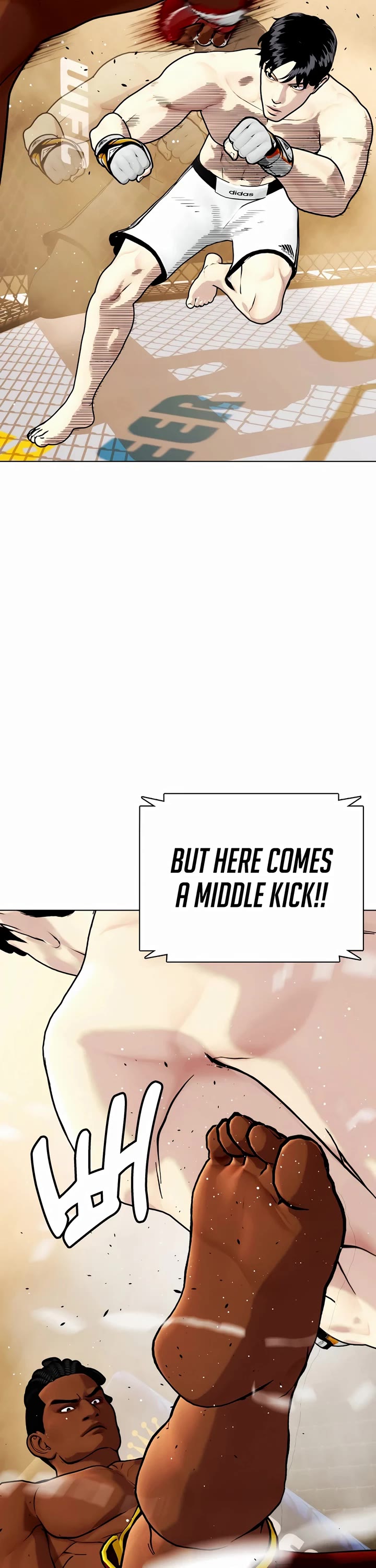 The Outcast Is Too Good at Martial Arts Chapter 93 page 13 - Chapter 93