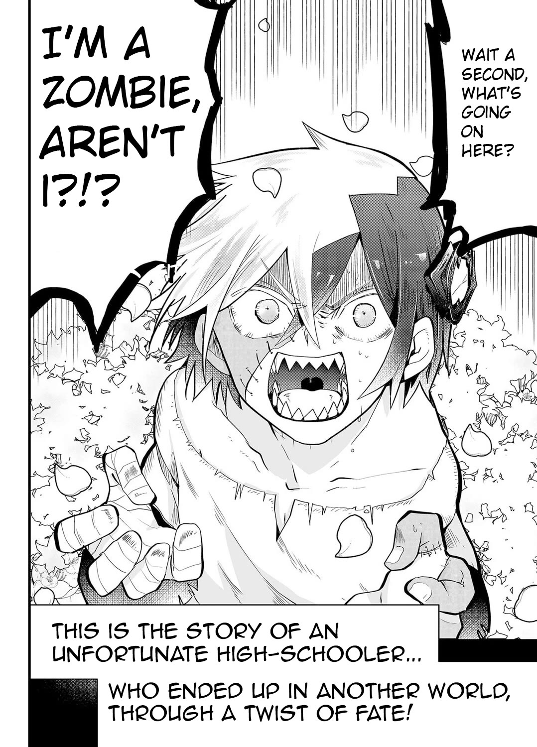 The Patchwork Hero Chapter 1 page 2 - Chapter 1