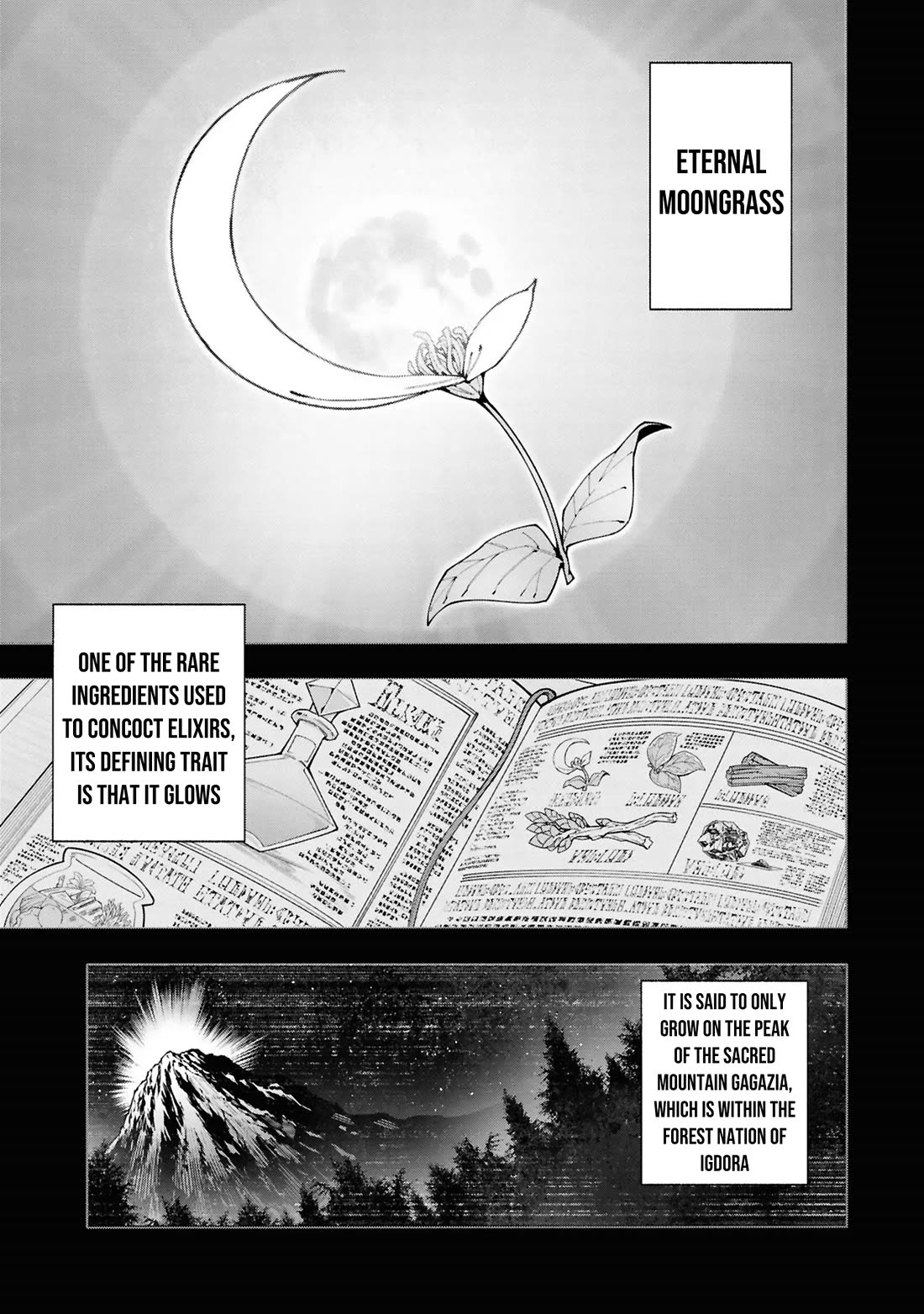 The Path of an S-Class Adventurer: The Exiled Boy Becomes the World's Strongest With His True Ability, "Weapon Master" Chapter 3 page 2 - Chapter 3