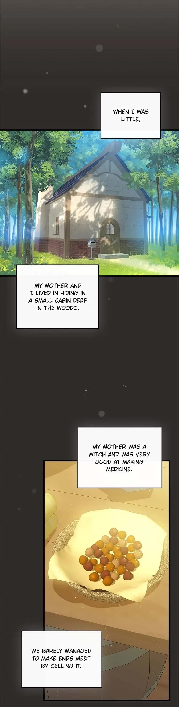 The Perfect Ending for the Villainess of a Fairy Tale Chapter 67 page 22 - Chapter 67