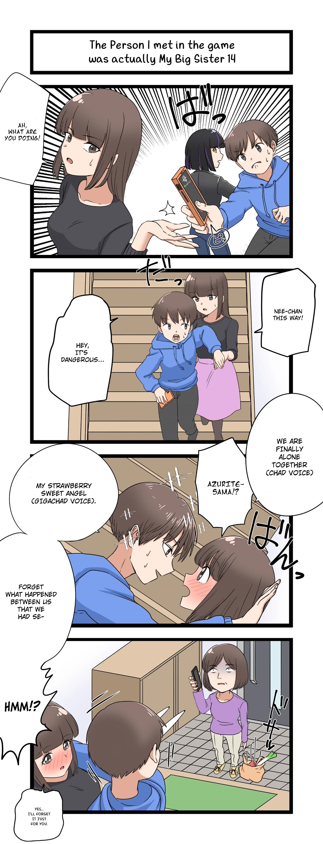The Person I Met In-Game Was Actually My Big Sister. Chapter 14 page 1 - Chapter 14