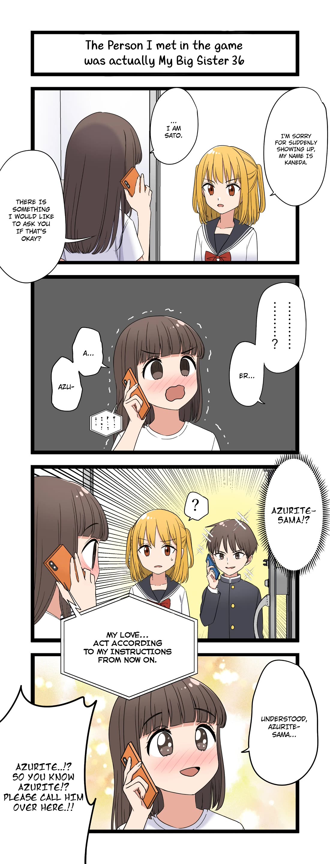 The Person I Met In-Game Was Actually My Big Sister. Chapter 36 page 1 - Chapter 36