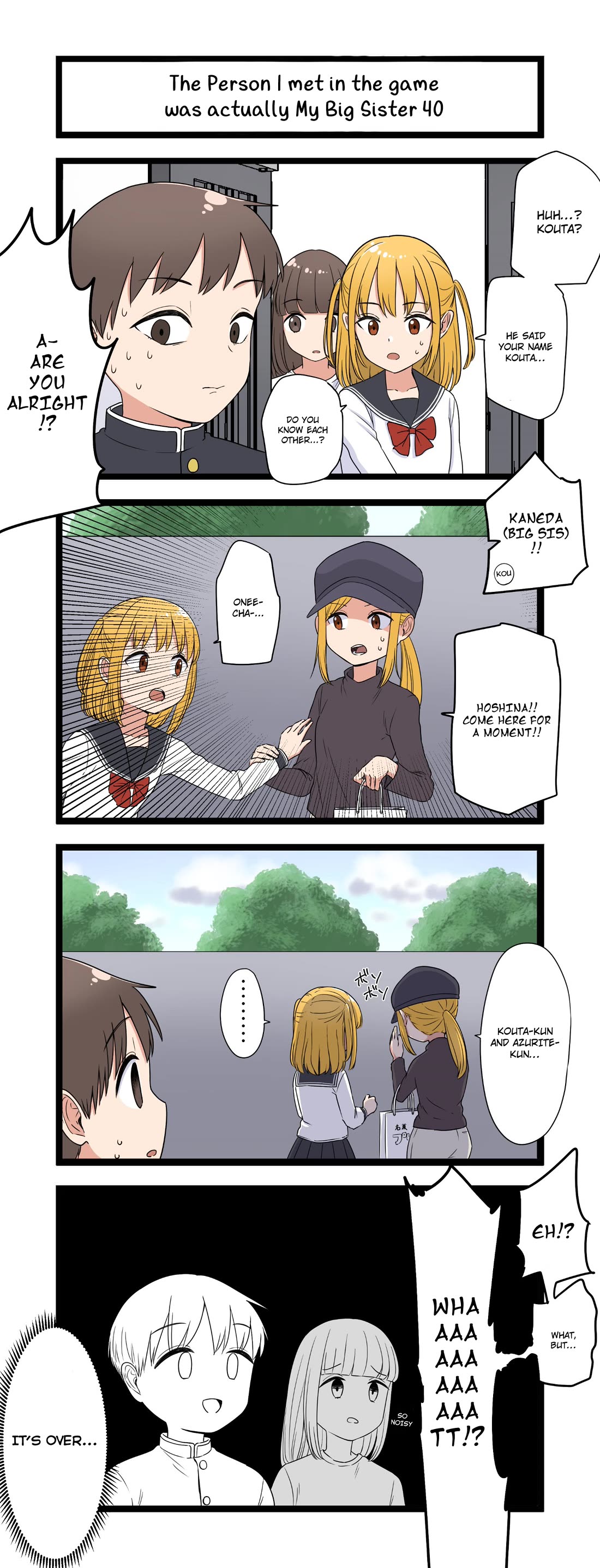 The Person I Met In-Game Was Actually My Big Sister. Chapter 40 page 1 - Chapter 40