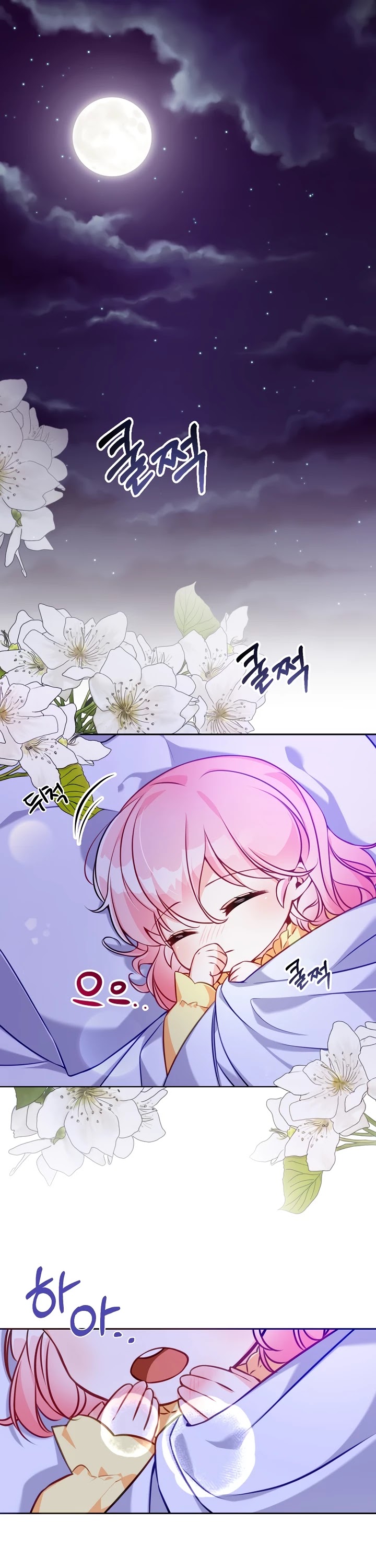 The Precious Sister of the Villainous Grand Duke Chapter 1 page 1 - Chapter 1