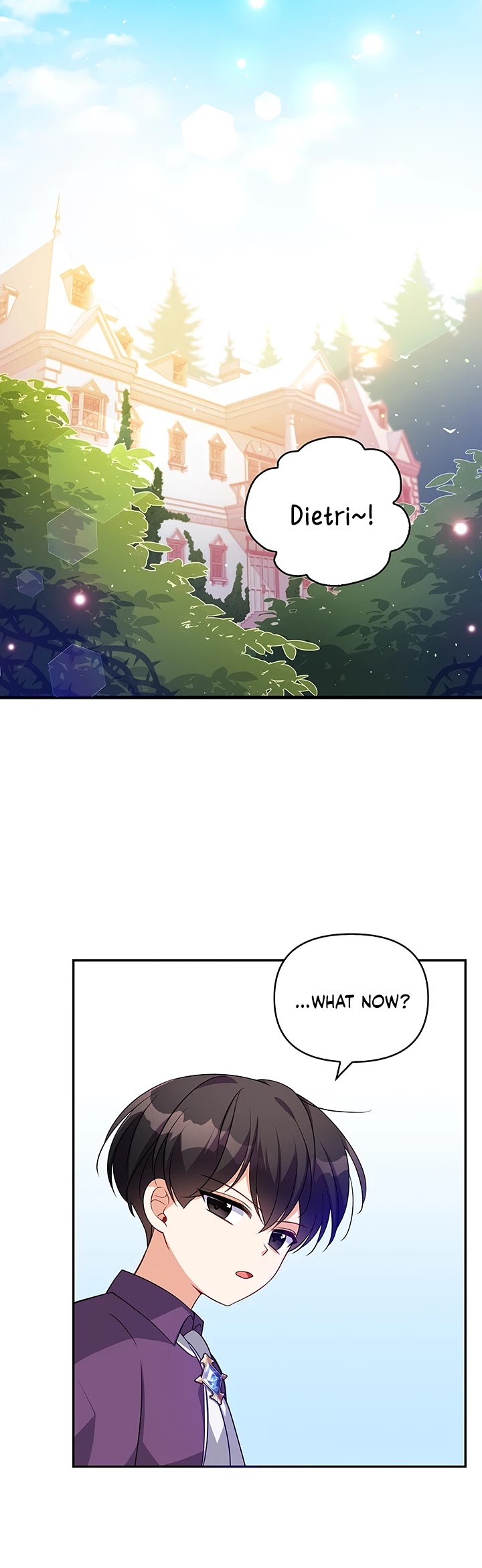 The Precious Sister of the Villainous Grand Duke Chapter 12 page 15 - Chapter 12