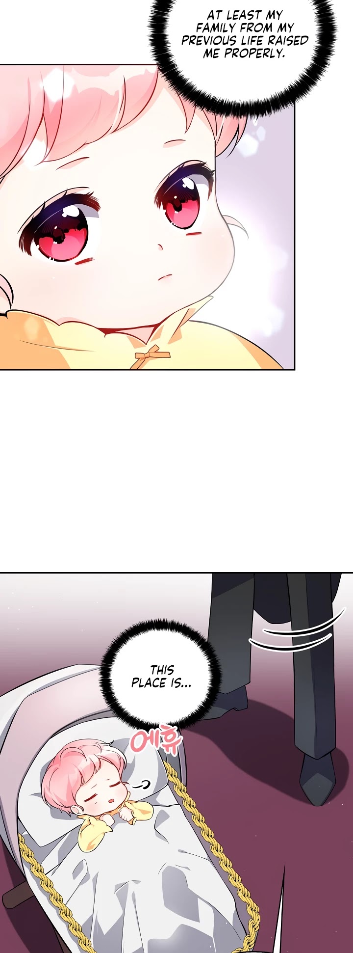 The Precious Sister of the Villainous Grand Duke Chapter 2 page 3 - Chapter 2