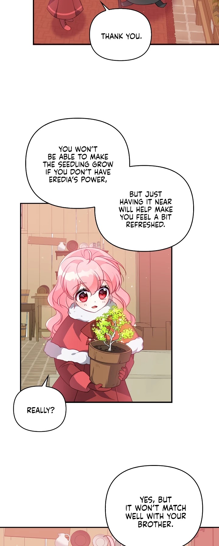 The Precious Sister of the Villainous Grand Duke Chapter 21 page 21 - Chapter 21