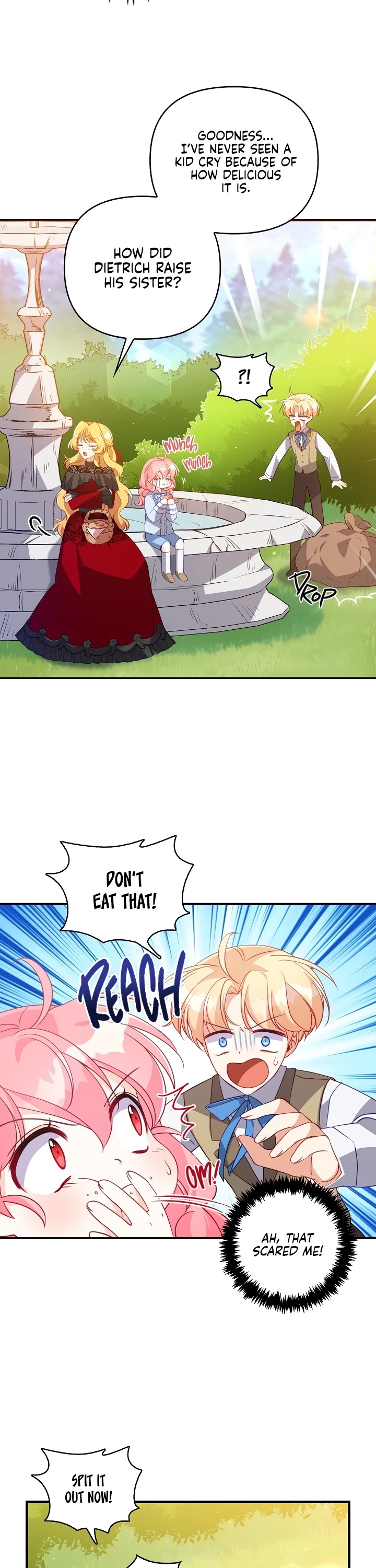 The Precious Sister of the Villainous Grand Duke Chapter 25 page 5 - Chapter 25