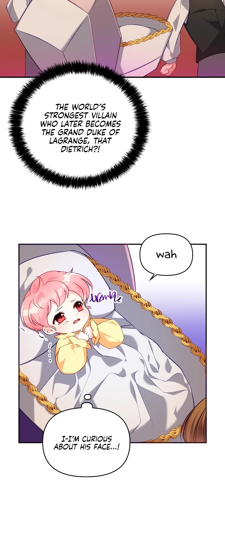 The Precious Sister of the Villainous Grand Duke Chapter 3 page 4 - Chapter 3