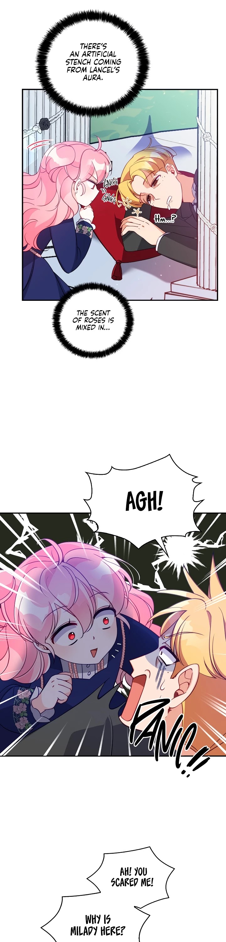 The Precious Sister of the Villainous Grand Duke Chapter 31 page 17 - Chapter 31