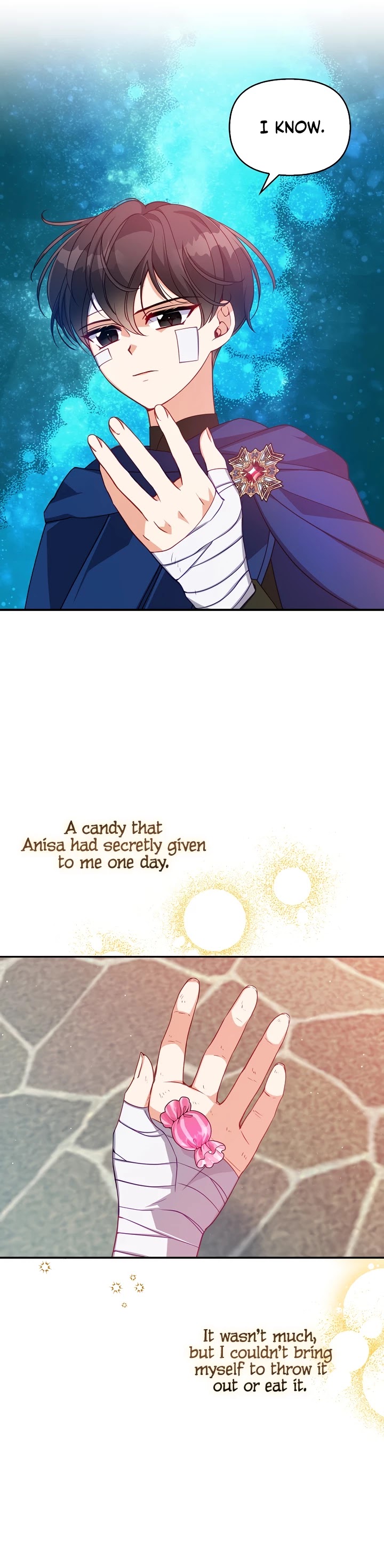 The Precious Sister of the Villainous Grand Duke Chapter 36 page 9 - Chapter 36