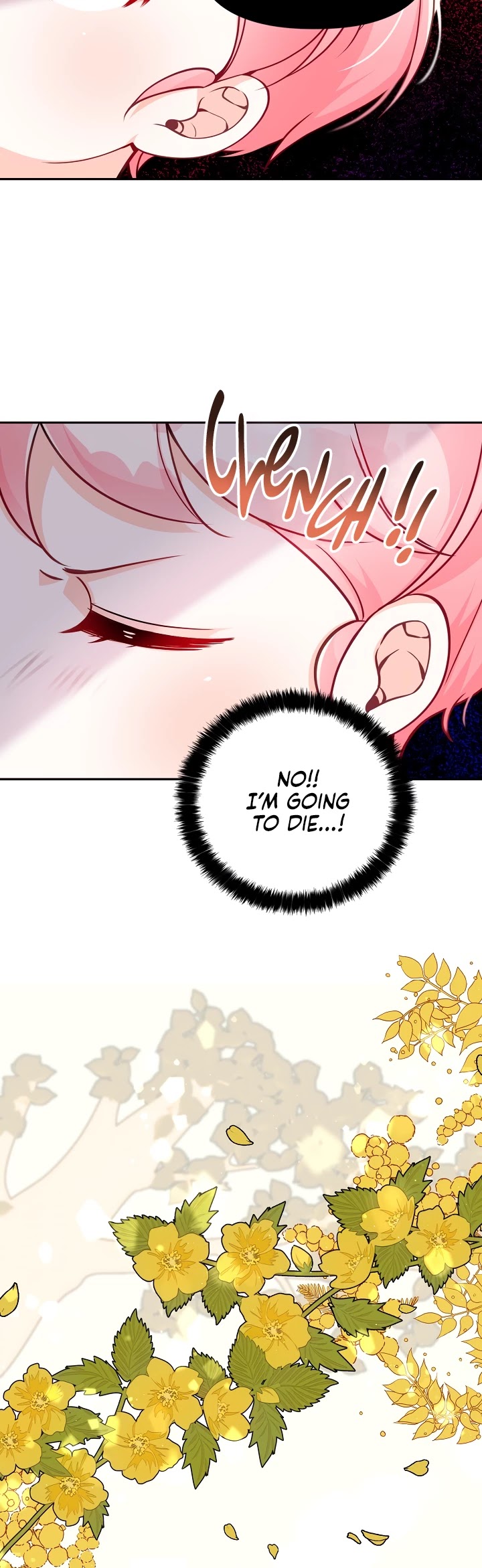 The Precious Sister of the Villainous Grand Duke Chapter 5 page 12 - Chapter 5