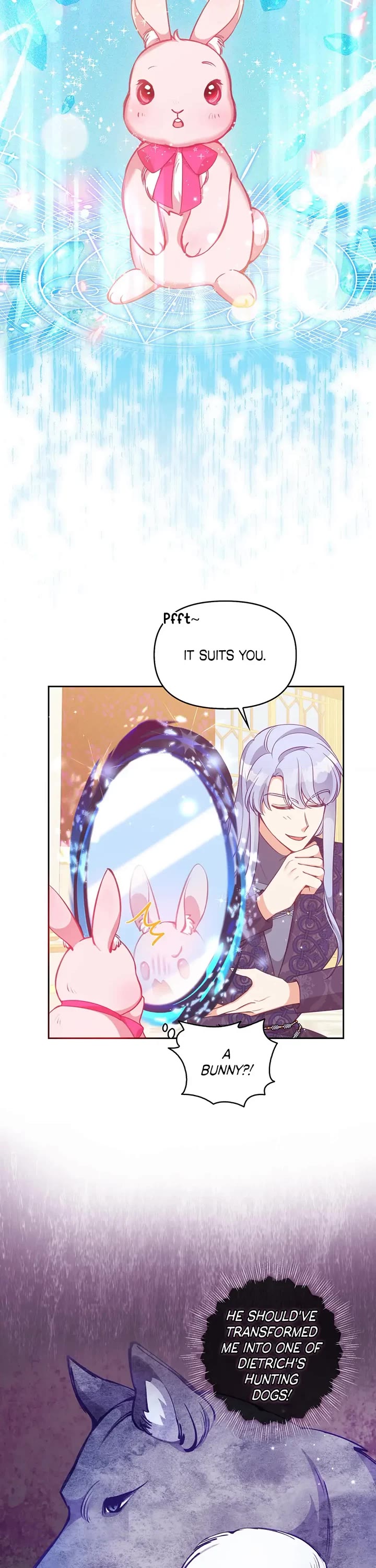 The Precious Sister of the Villainous Grand Duke Chapter 87 page 21 - Chapter 87: Anissa the Bunny