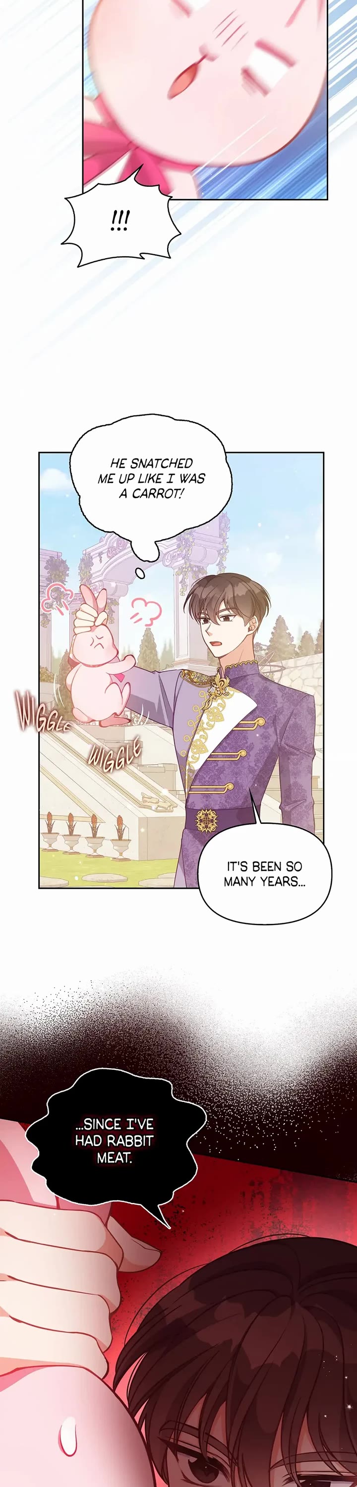 The Precious Sister of the Villainous Grand Duke Chapter 87 page 27 - Chapter 87: Anissa the Bunny