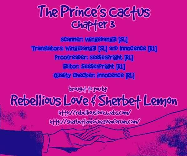 The Prince's Cactus Chapter 3 page 25 - Chapter 3: The Unabashed Heroine