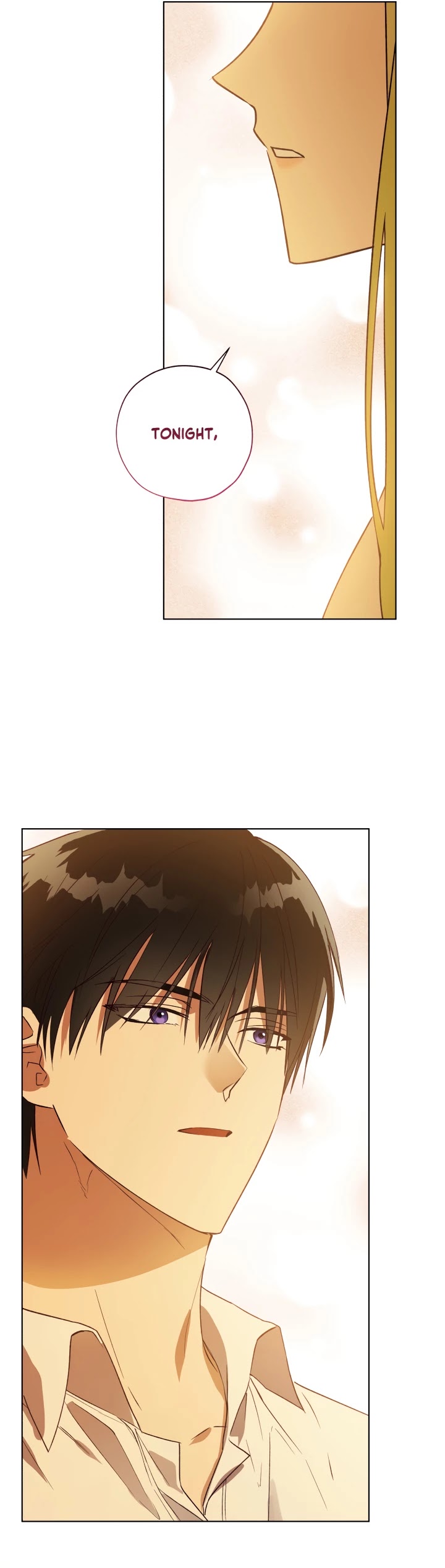 The Princess Imprints the Traitor Chapter 38 page 40 - Chapter 38