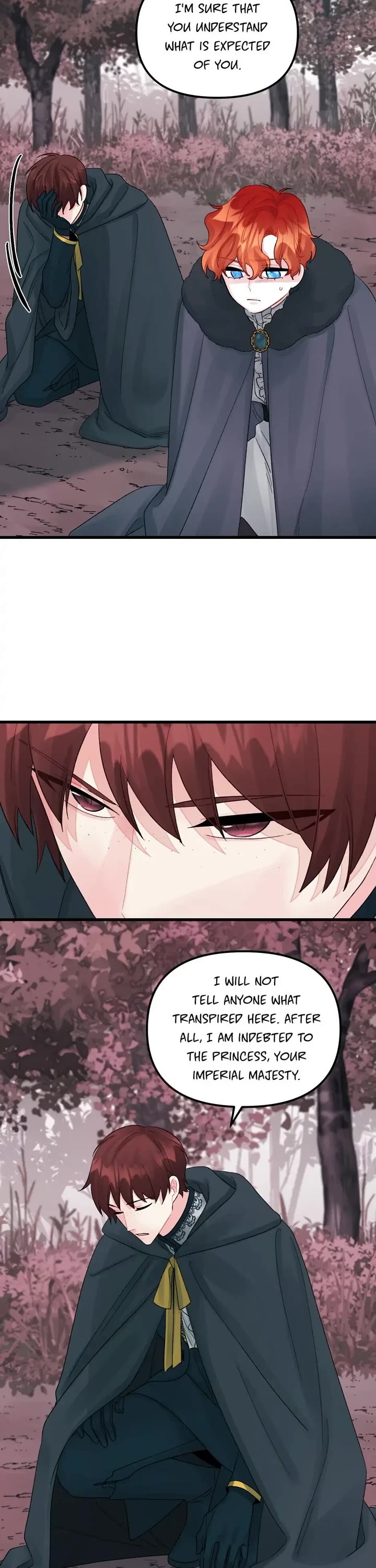 The Princess in the Dumpster Chapter 47 page 27 - Chapter 47: Blood of Sword