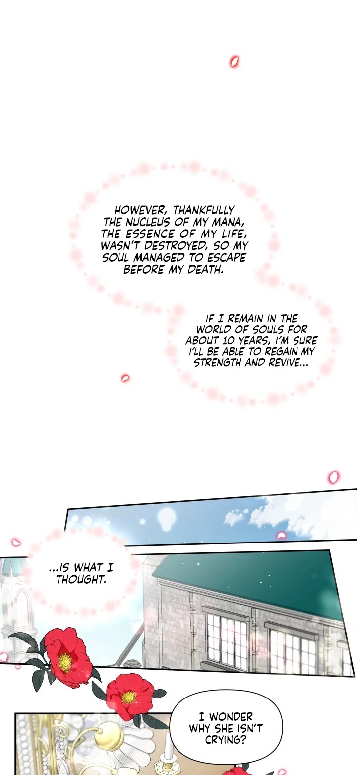 The Princess Is Evil Chapter 1 page 8 - Chapter 1
