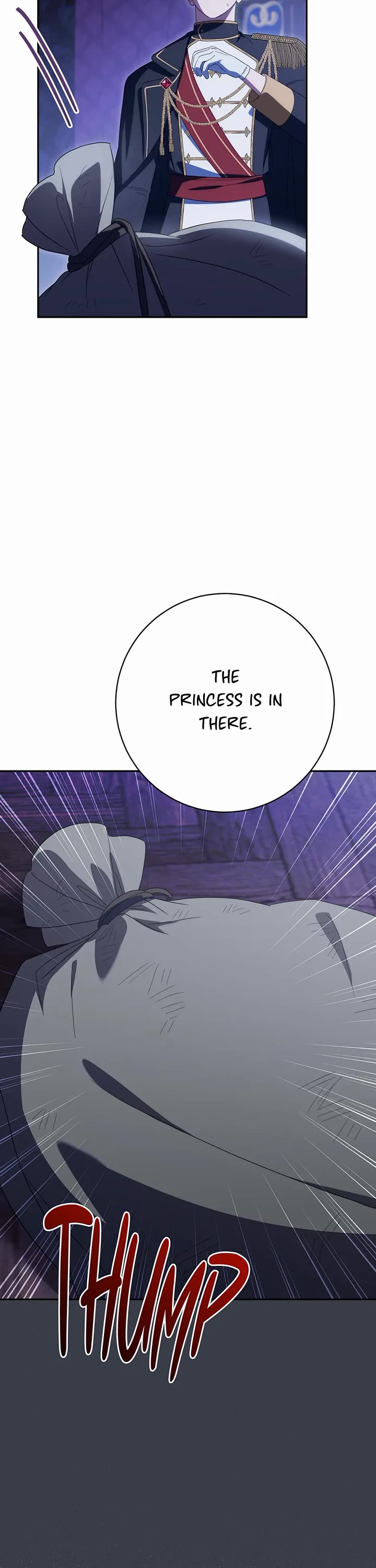 The Princess Is Evil Chapter 166 page 33 - Chapter 166: Stolen Body