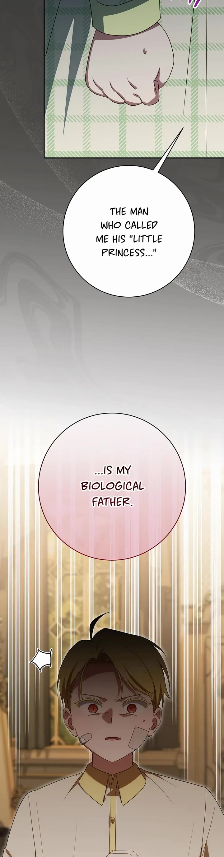 The Princess Is Evil Chapter 177 page 24 - Chapter 177: What It Means to be Family