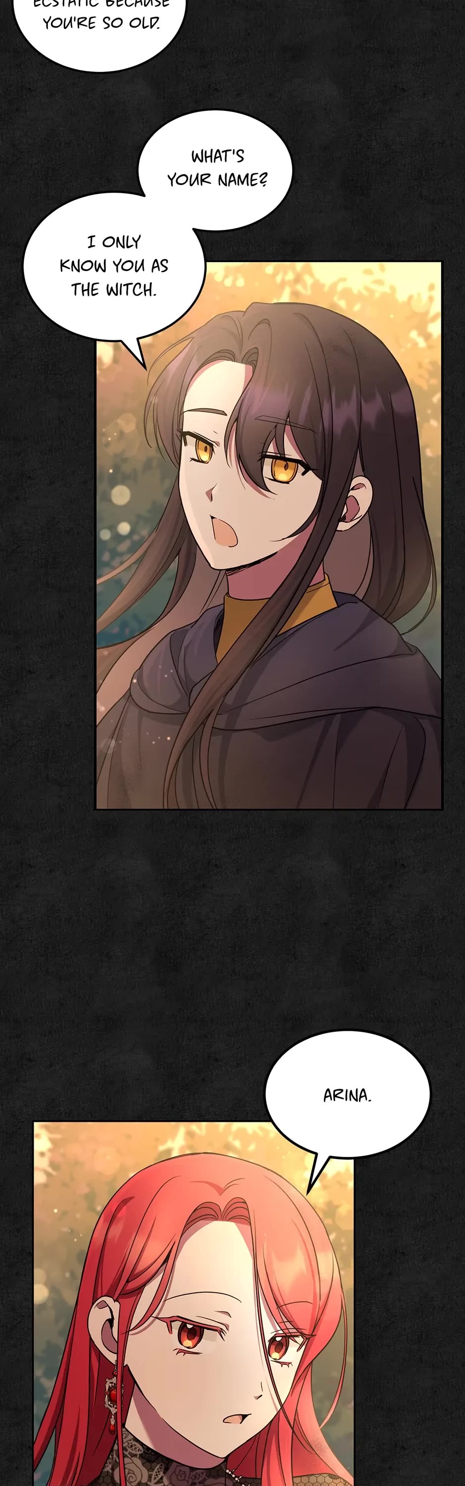 The Princess Is Evil Chapter 66 page 37 - Chapter 66: The Brothers