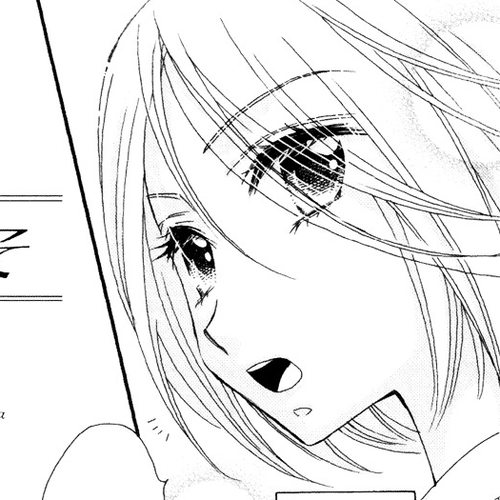 The Princess's Mirror Chapter 2 : The Princess's Lie cover