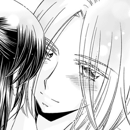 The Princess's Mirror Chapter 4.5 : The Princess's Wish (continued) cover