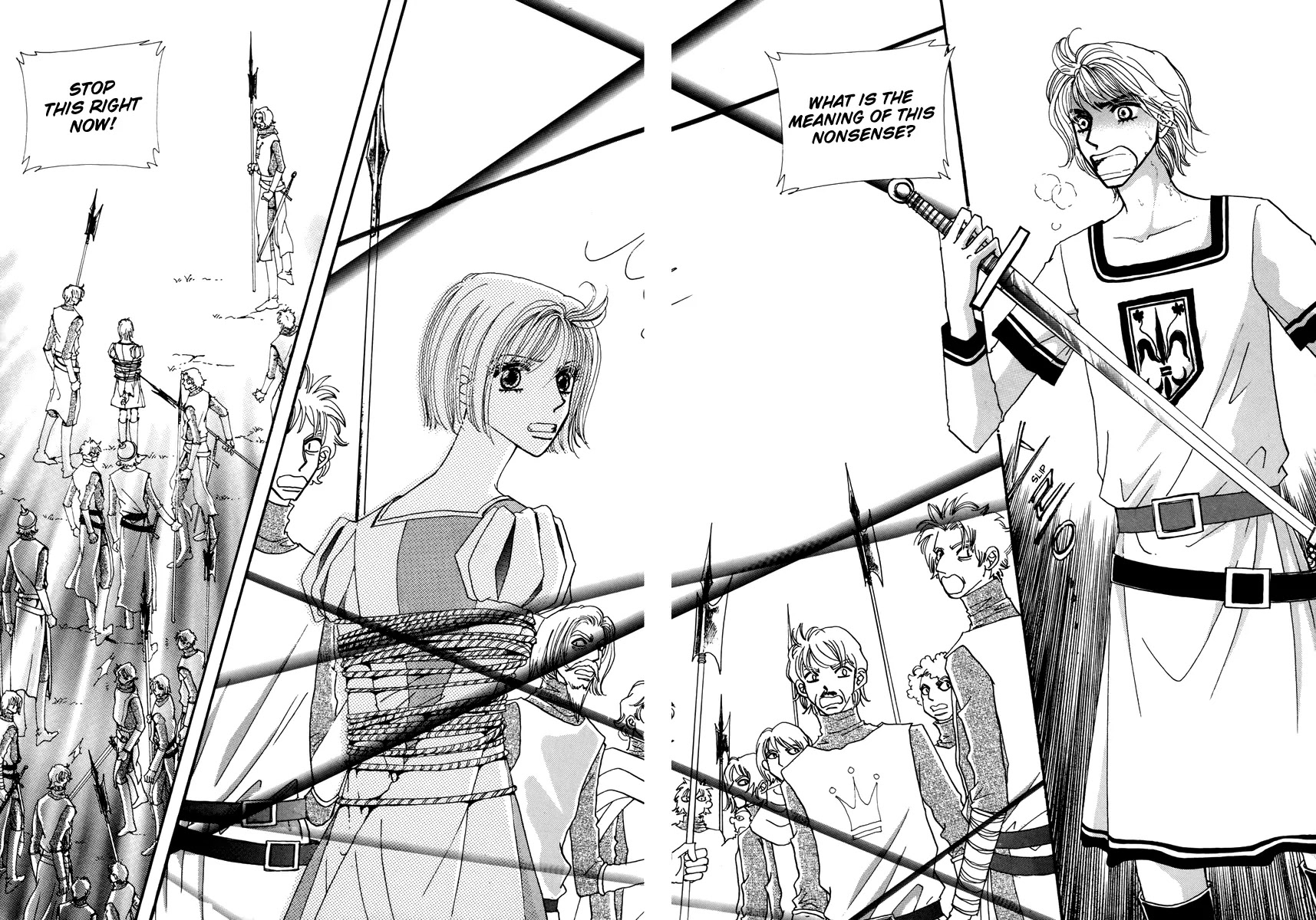 The Queen's Knight Chapter 15.3 page 29 - Vol.15 Chapter 3